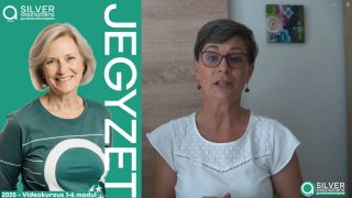 Foglalkoztatási és vállalkozási formák